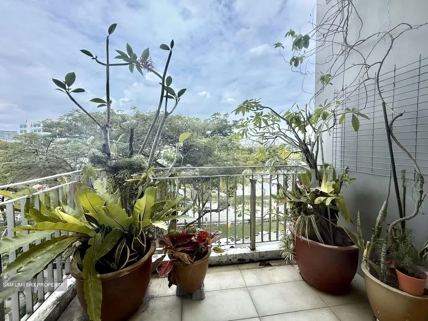 Bayou Residence (D19), Apartment #547777041